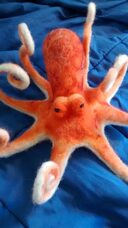 octopus-fascinator1